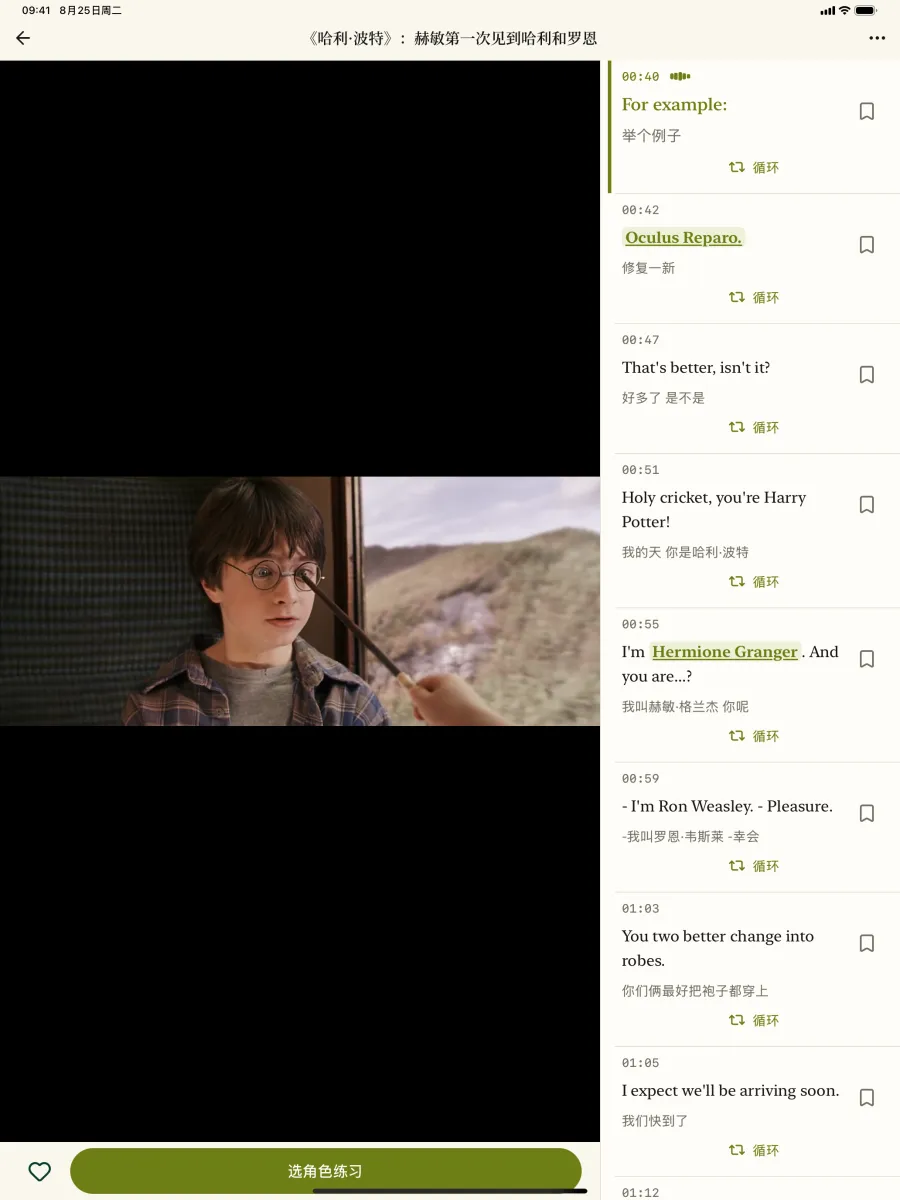 iPad 上的播放页，左边是视频，右边是带时间的双语字幕